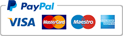 payment methods including paypal, visa, mastercard, maestro, and american express